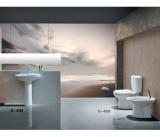 Bathroom Suites BS0005