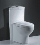 Siphonic One-piece Toilet A0125