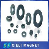 Ferrite Ring Magnet